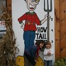 Pumpkin Patch Richardsons in Dunnville